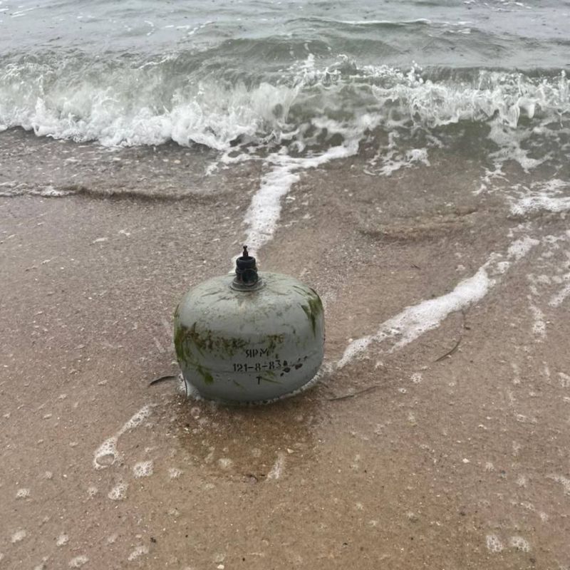 �� �������� ���� ������� ���� ���