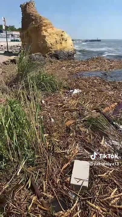 ����� ���������� ��������� � ������ ������ ��-�� ������� ��������� ���