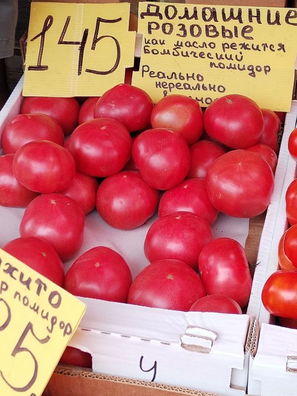 ������ ����������. �������������� ������