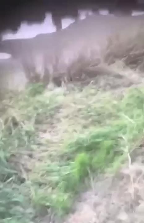 ���������� ������ ��������� ������������ ������ ����, ��� �������� �� ���������� ������������� ����� ���������� ����� ����������� ���. ��� ������� �� ��� ���� ������� ��� ������� � ������������ � ��������������