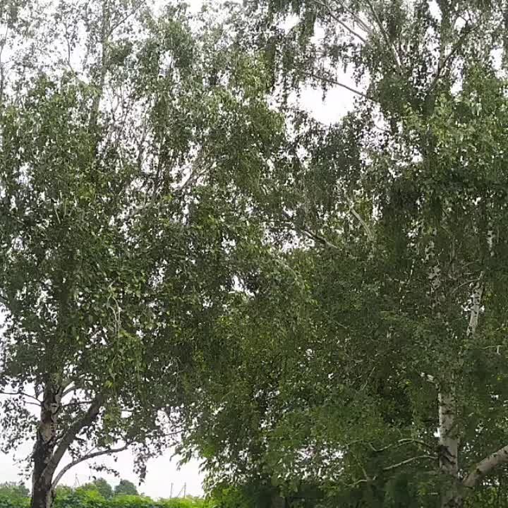 ������������� ����������� ������������� ����������� ������� � ���� ������!