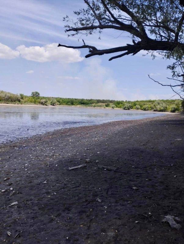 ��������� ������������� �������� ����� 70% ���� (14000 ���������� ���������� ����)