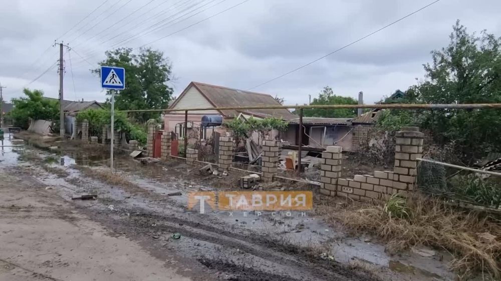 "�� �� ������, ������ ��� �� ��� �� ����� ��������"