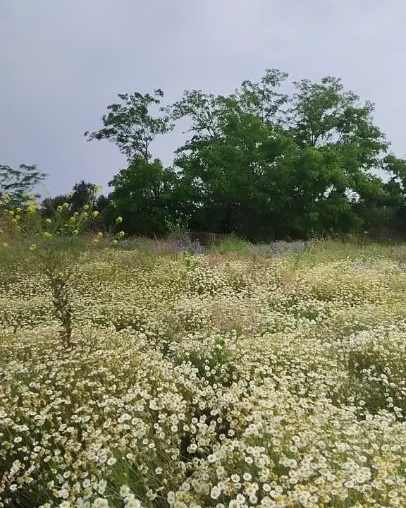 ���������� �� �������� ��������� ��������� ����� � ������������ ���