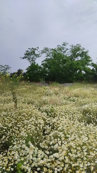 � ��������������� ������ ����������� ���������� ����� � ������������