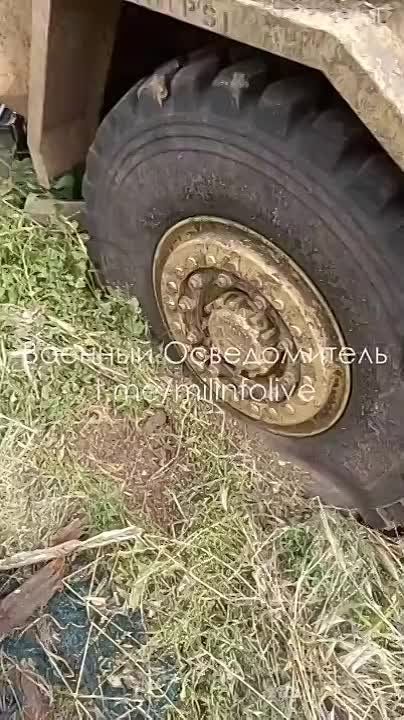 ������������ �� �������: ���� ������� ��������� ���������� ����������� Husky TSV � Mastiff PPV