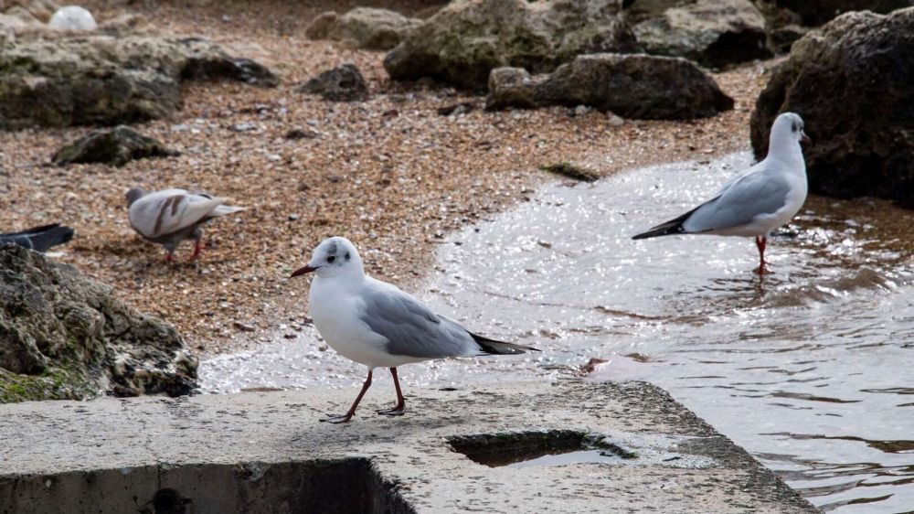 ��������� ��������� ���� � �����