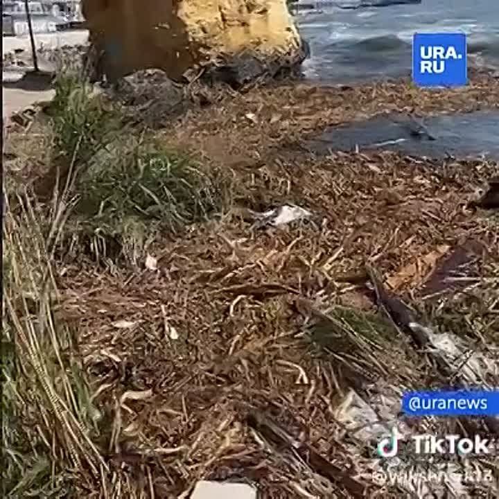 ����� ������ ���������� ������� ����� ��-�� ������� ��������� ���. ��������, � ������ ������� ���������