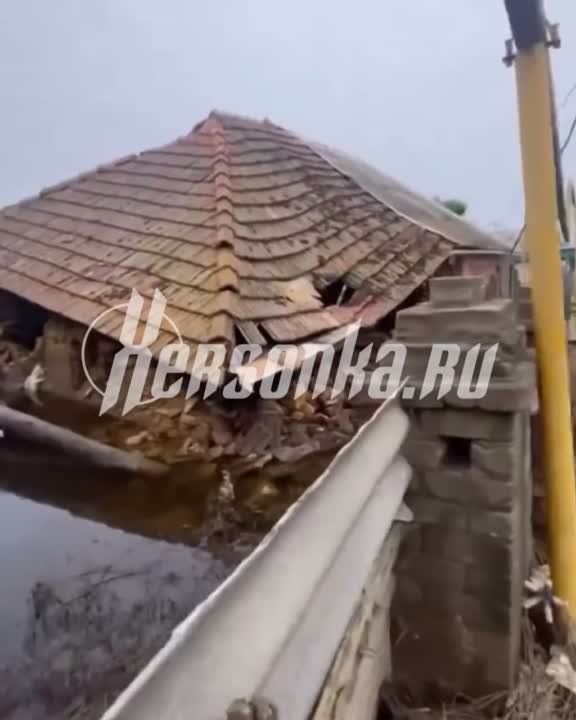 ����������� ����������, ���������� ����������� ���, �� ������ ������ � �������� ����� ������� ��� ����� ��� ������� ������ �������