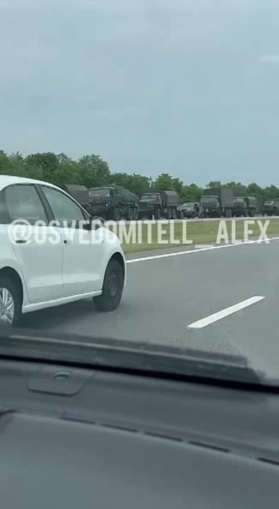 ����� "�����". ���������������� ������������ �����������