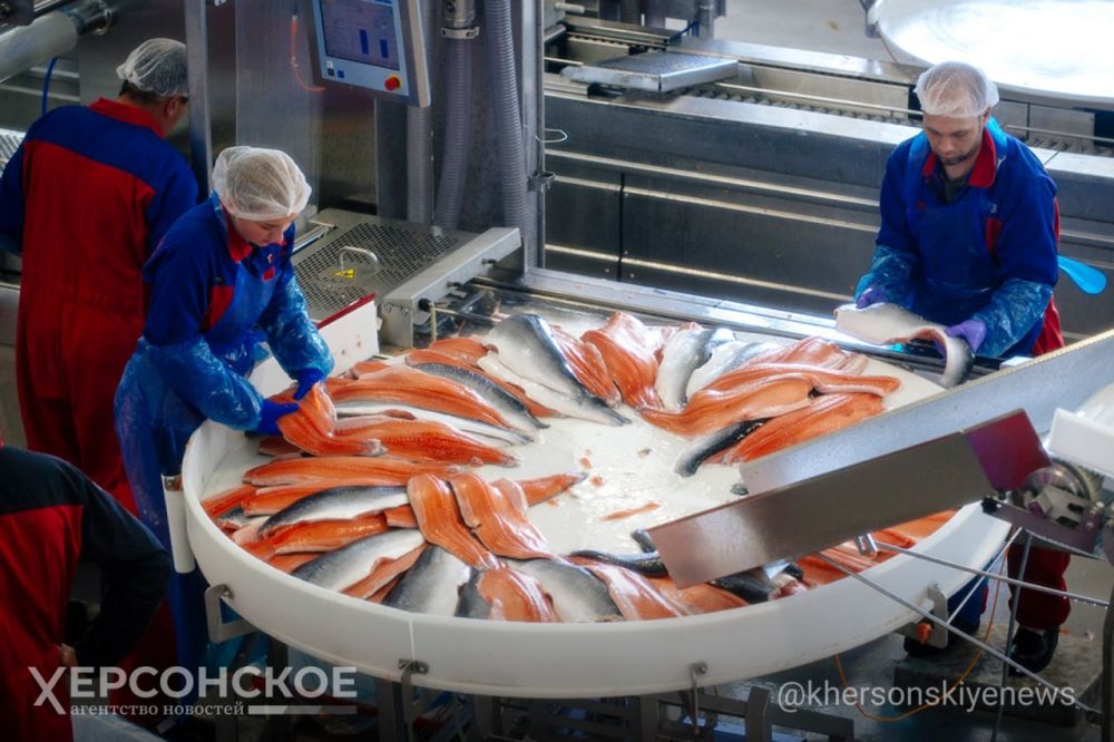 ������ ��������� � �������� ������������� ����������������� ���������