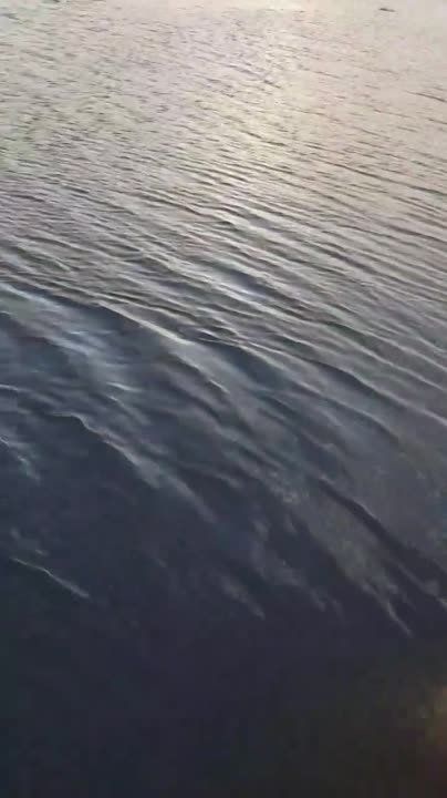 8 ���� ����� 6 ����� ���� ���������� �������������� ���������� ��� ����� �������������� ��� �� ����� ������ ���������� ������� � ������ ����������� ������ ��������