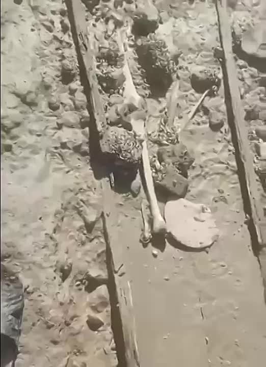 ���������� ��������� ��� ������ ������������ ���������� � ���������� ������� ������� � � ������ ����������� ������������: �� ��� ����������� ���������� ������������� ���� ����� ������� ������������ ������������ �������