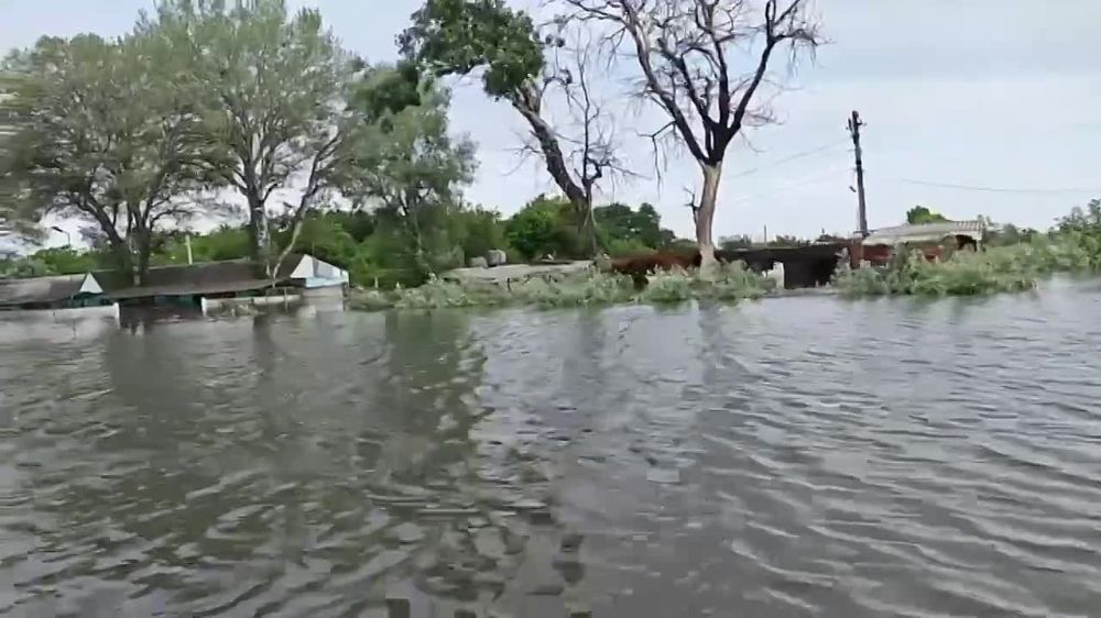 ������������ ��������� �������� � �������� ������������ ��������������� ����� � ������������ �������