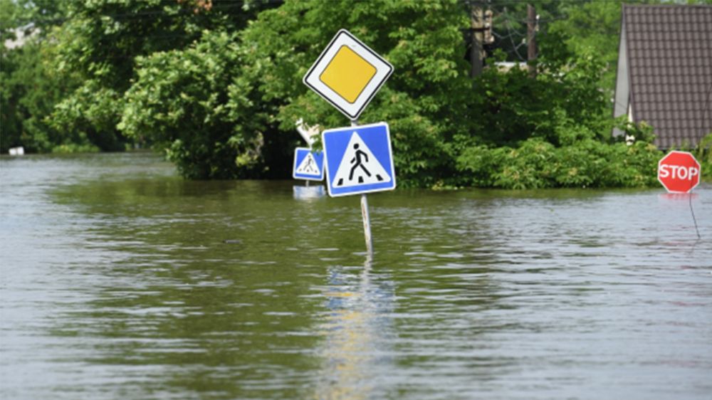 ����� ����� ���������� ��������� ��� �������� 17 �������