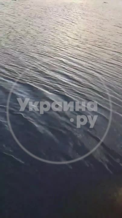 ��������� � ���������� ������� ���������� ������� ��������: