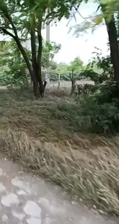 ��� ����� ������ ������� � ���������� ������� ������ ������ ����� ������