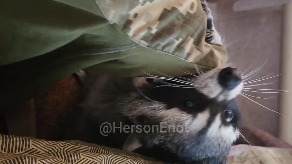 ���� �� �������: ������� ���� ���� ����� ���� ������ ����!