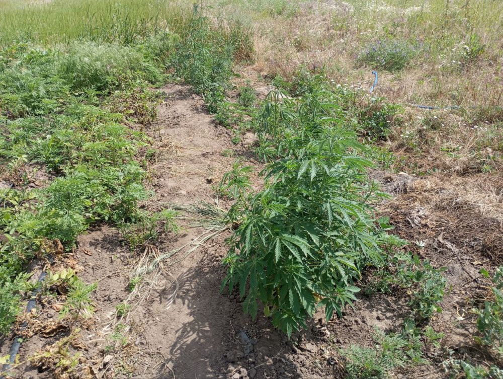 � ���������� ������� ������� ������ � ������� ������ ���� ��������� 260 ������ �������