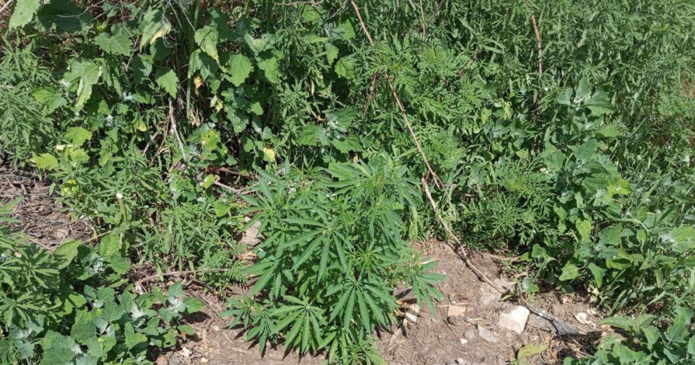 ��������������� ������ � ������ ��������� 260 ������ �������