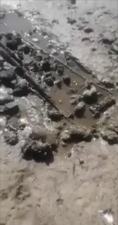 ��������� �������������: ����� ����� ���� ��������� ������� �������