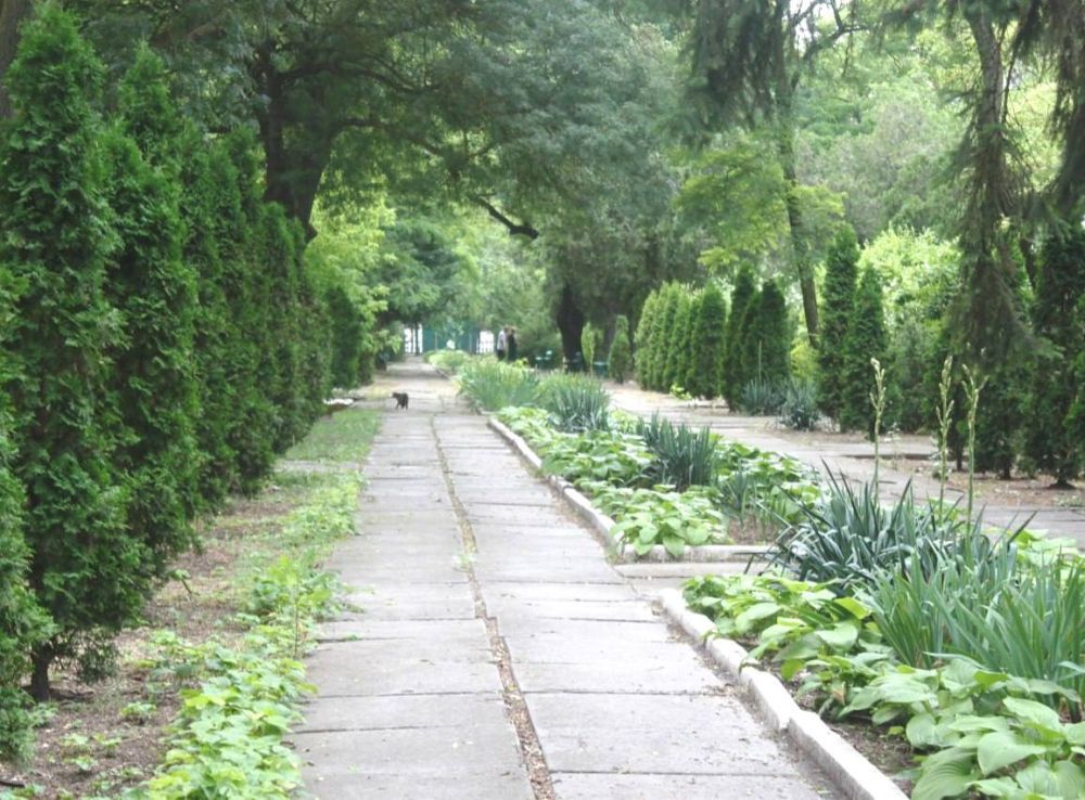 ���������� ����������� ���������� ������������� ����������� ���������� ������������ ��� ��� �. ������� ��������� ���������� ������ ������������� ����������