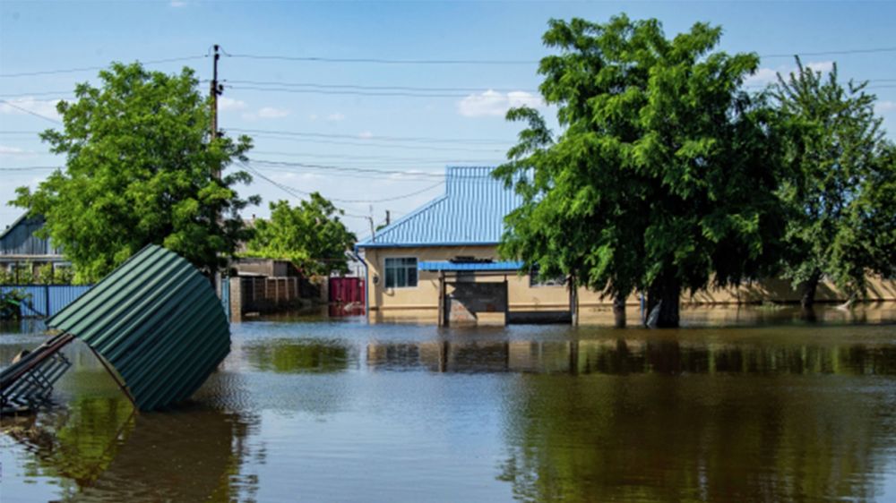 ��������������� ������� � ������������ ������� ���� � �����