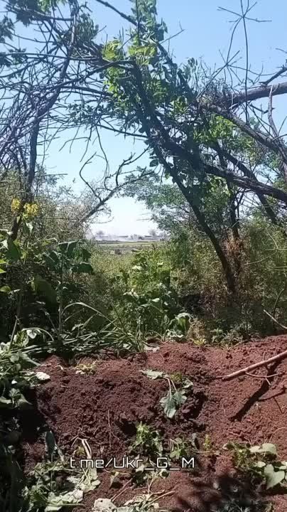 ��������� ������� �������� ��� �������������� �� �� �� ����� �� �����������