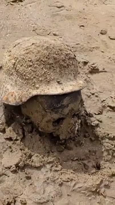 �� �������� ��������� ������������� ����� �������� ����))