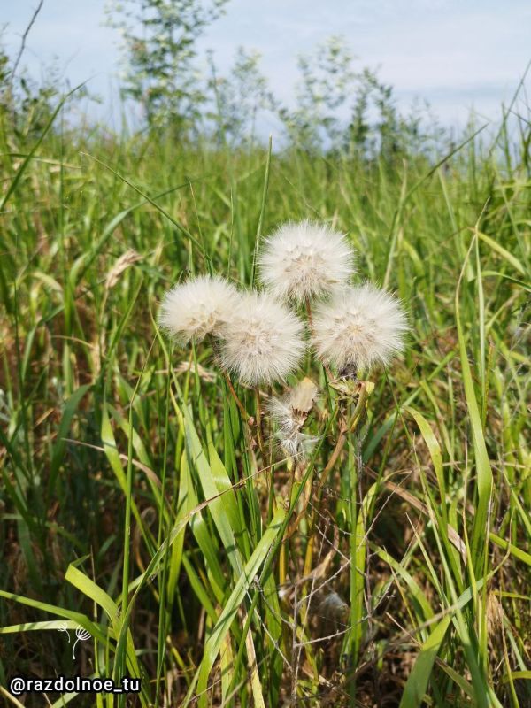 ����������, ������� ����!