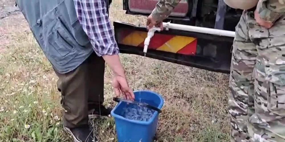 ������ ����� ������� �������� �������� ���� � ������ ������ �� ������