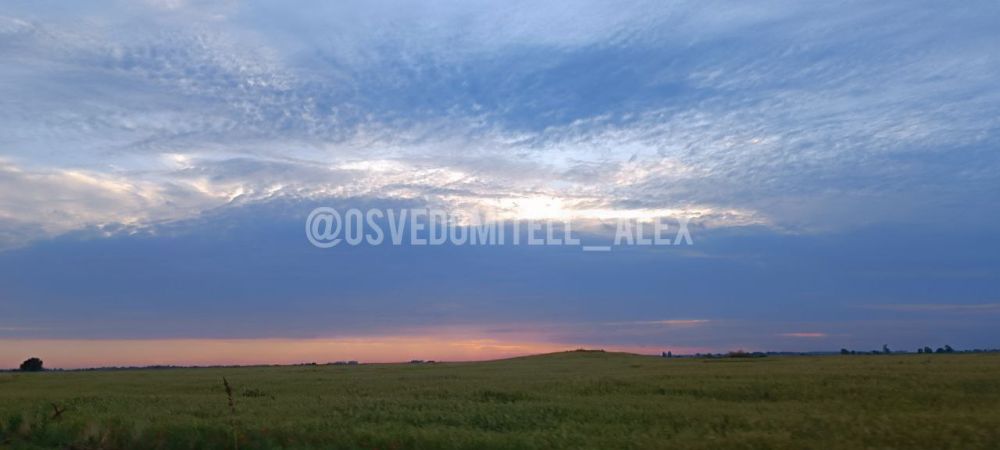 ������ �����. ����� ��� ������� ����������