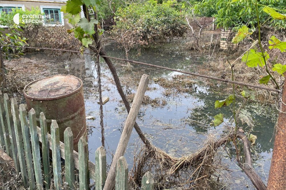 � �� ��� ������.... ��� �������� ����������� �������