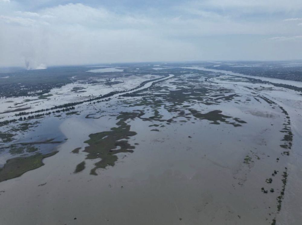 ������ ���������� ������� ������� ����� �� ���������� �� ��������� ��� � 40 ���� ������