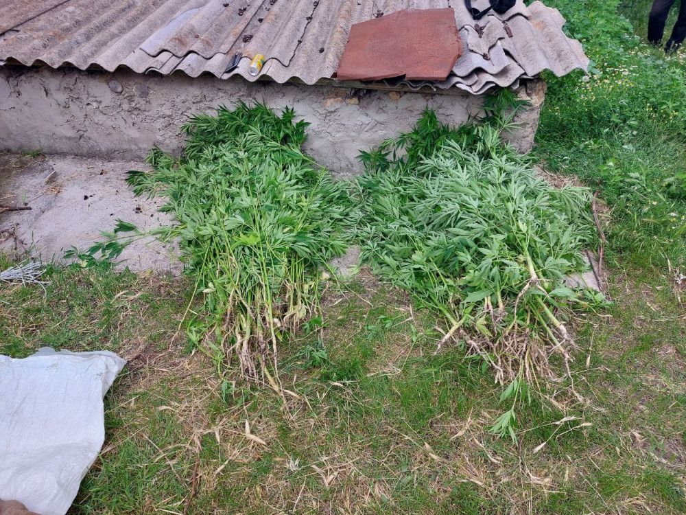 � ���������� ������� ����������� ������ � �������� ������ ����� 300 ������ �������