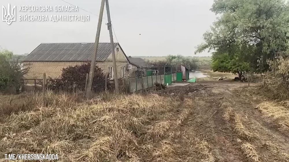 � �� ��� ������.... ������������ ���������� �������. ��� ����� �������� 3103 ����� ����. �� ��������� ���� ���� ������ �� ����� ���������� �����