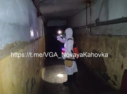 ��������������� � �������� ���������� ������� ���������� ������������� ����������� ��������� � ���������� ����� ����������