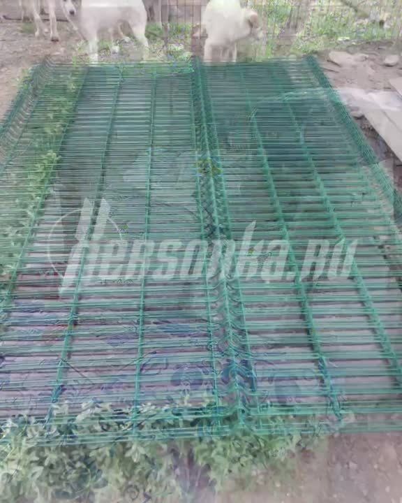 ���� �����, ������� ��� �� ������� �� ����������� ���������� ���������� ������ ���� �� �������� �������