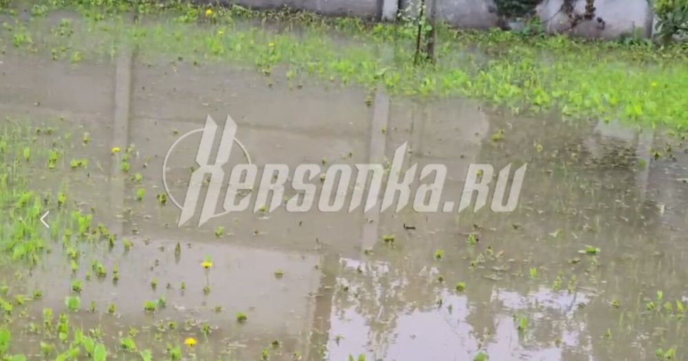 ������������ ������ ��������� ���������� � ���������� ����������� �����