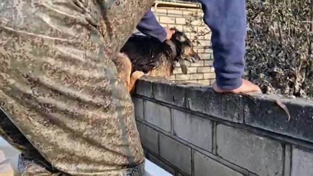 ������ ��������: "������ �� ���� ������� �����!" - ��������� ��������� �������� ���������� ����� � ������ ������������ ��� � ����� ��������