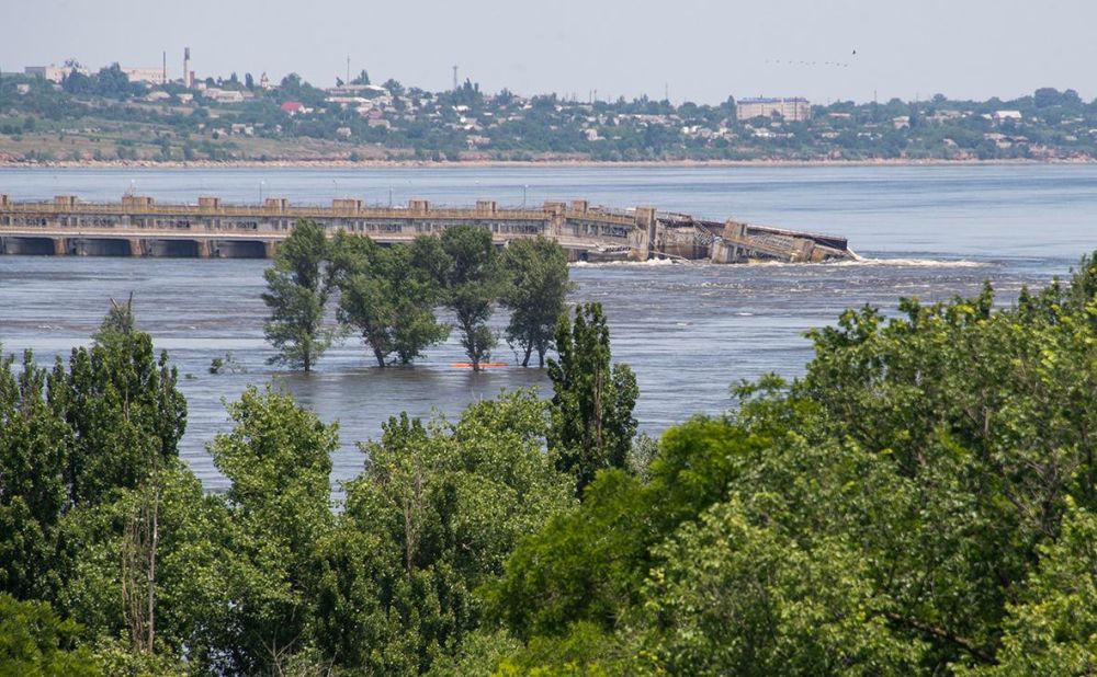 ������� ��������� ��� ����� ���� �������������, ������ ���� ����������� ���������� ������� �������� ������