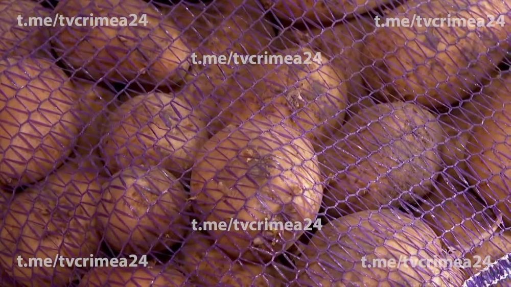 ���� ���� ������������ ������ �������� �� ���� ������ ��� � ������� ��������� � ����� �������