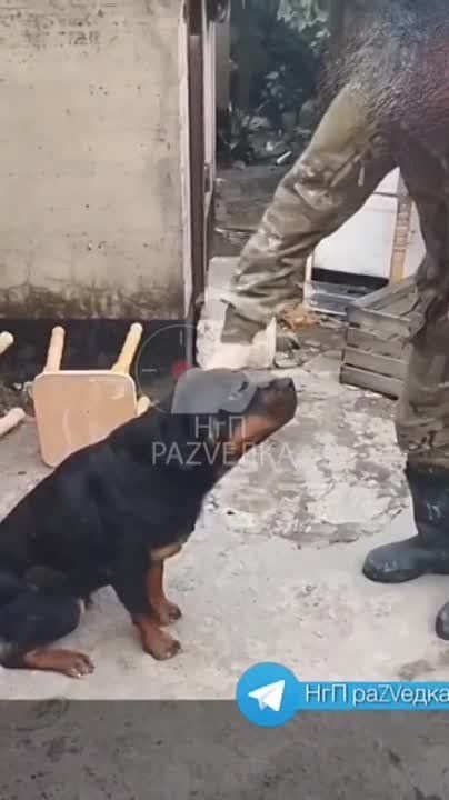 ��� ������� ������� ���� ����� ������ � ���������� ������� �� ����� ����������