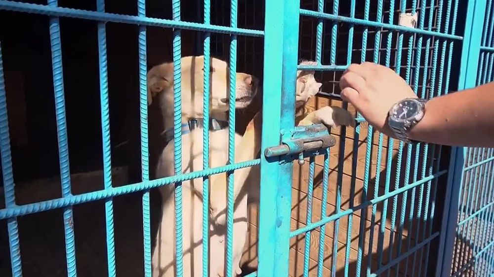 ������� �������� �������������� ���������� ��������