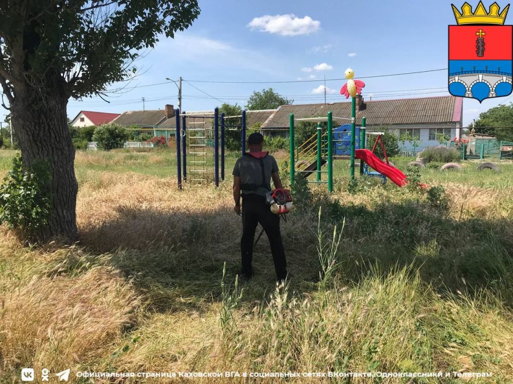 ������������� ������������ ����������� �����������