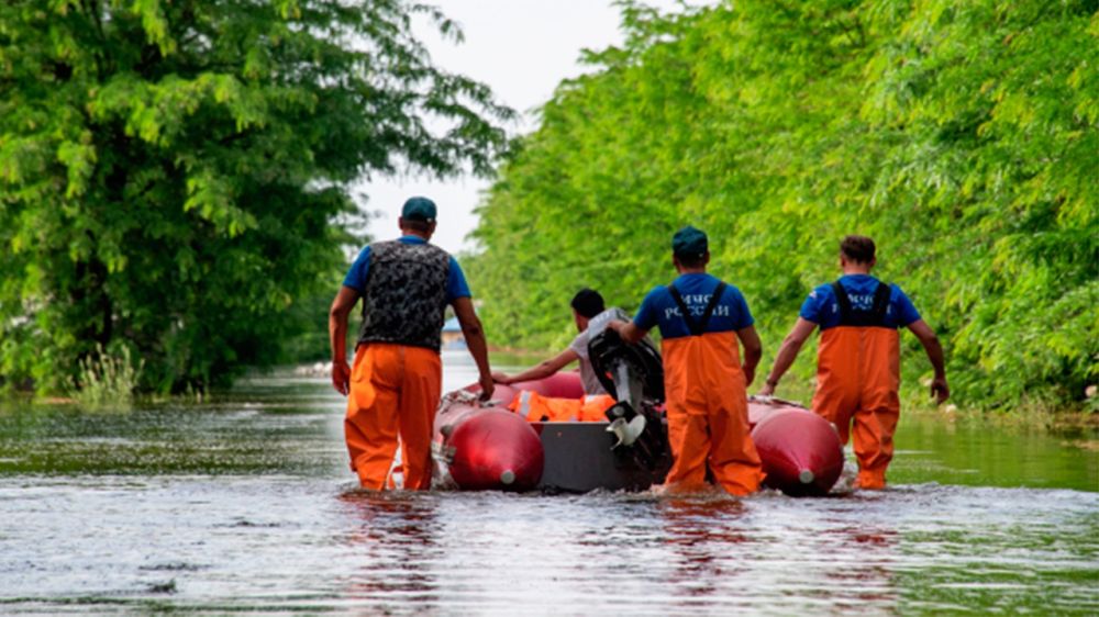 ��� ������ ����� 2,2 ������ ������� � ����������� ������� ���������� �������