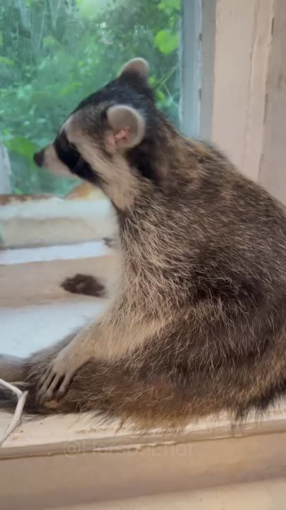 ���� �� �������: ���� � ������ ���������� �����, � �������� ����������