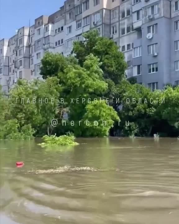 ���� �� �������� �������������� ������� �������� �������, �� ������ ����� ��������� ��������