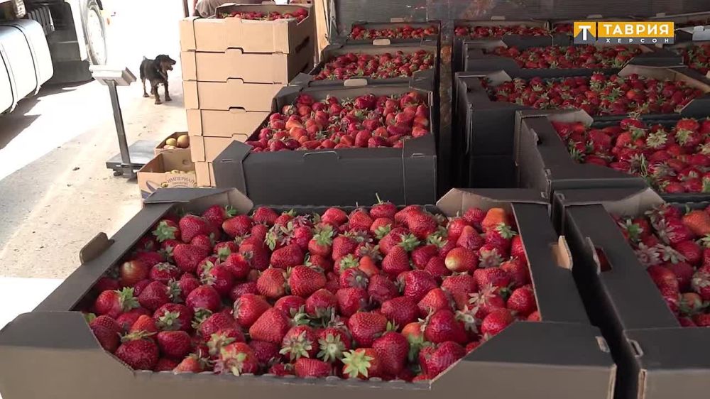 ���������� ������������� ������� �� ��������� ����������� � ���������� �������