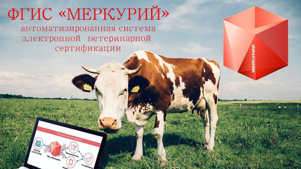 ������������� ������������ ����� ������������ ������ �� ���������� ������������ ������������ ��������� �� ���������� � ����������� ��������